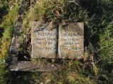 image of grave number 725211